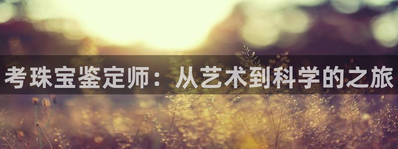 新宝5首页：考珠宝鉴定师：从艺术到科学的之旅