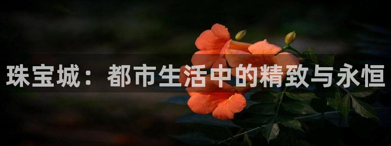 新宝5平台登陆：珠宝城：都市生活中的精致与永恒