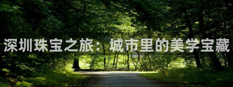 新宝5下载到桌面：深圳珠宝之旅：城市里的美学宝藏