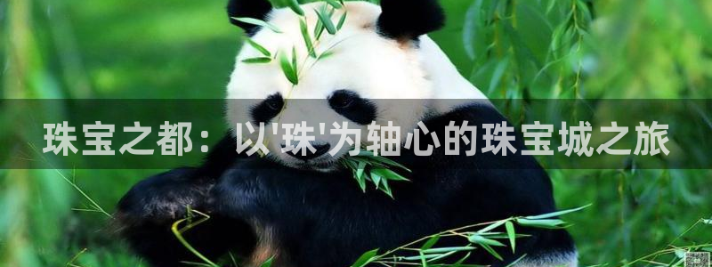 新宝5彩票是正规平台吗：珠宝之都：以\'珠\'为轴心的珠宝城之旅