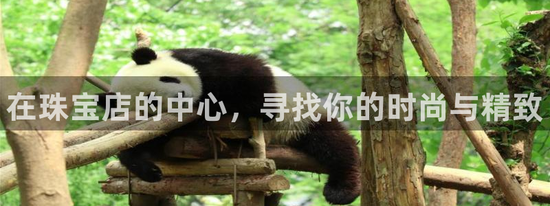 新宝5测速平台登录：在珠宝店的中心，寻找你的时尚与精致