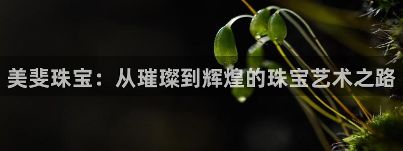 新宝5测速登陆：美斐珠宝：从璀璨到辉煌的珠宝艺术之路