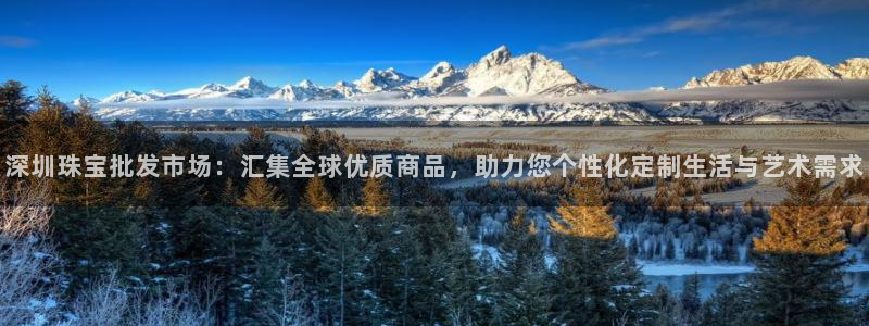 新宝5登录入口网址：深圳珠宝批发市场：汇集全球优质商品，助力您个性化定制生活与艺