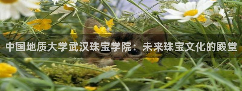 新宝5娱乐平台：中国地质大学武汉珠宝学院：未来珠宝文化的殿堂