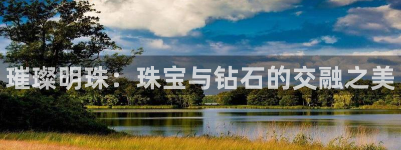 新宝股东王听2 5 5：璀璨明珠：珠宝与钻石的交融之美