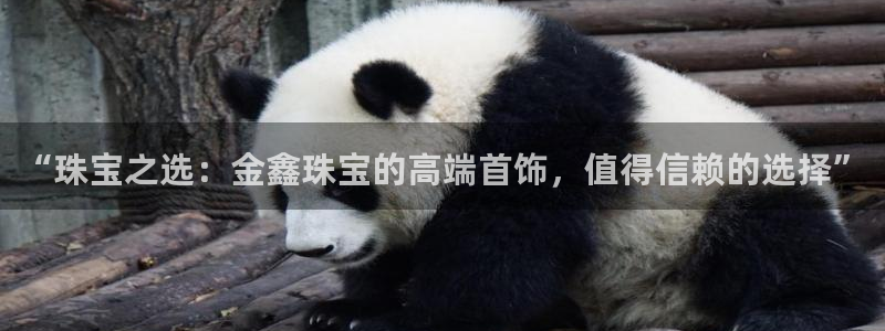 新宝堂新会陈皮5年：“珠宝之选：金鑫珠宝的高端首饰，值得信赖的选择”