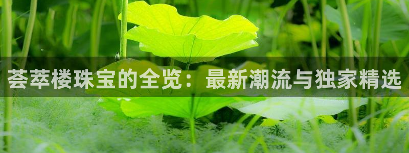新宝5娱乐然：荟萃楼珠宝的全览：最新潮流与独家精选