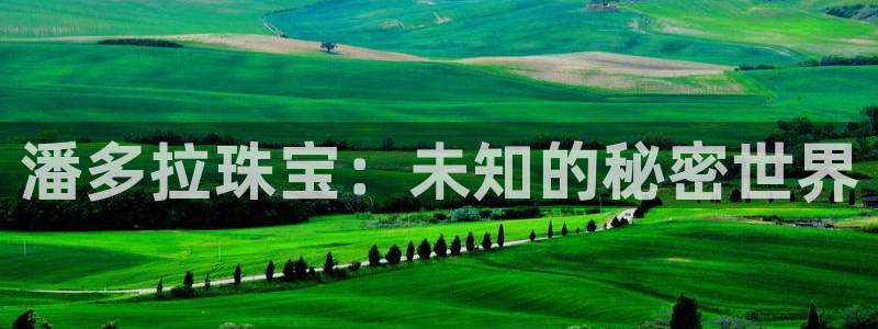 新宝5 - 测速登陆：潘多拉珠宝：未知的秘密世界