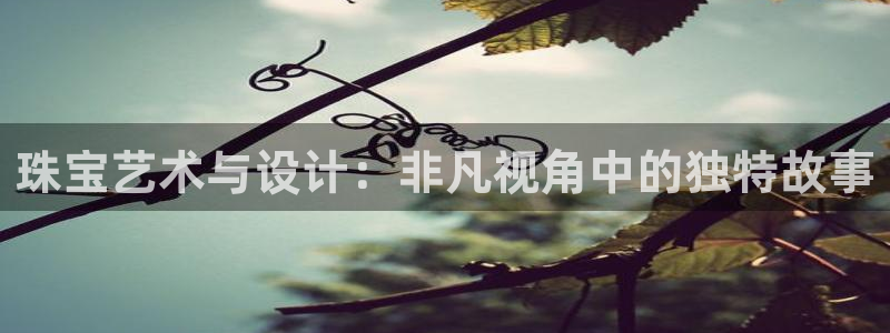 新宝新5：珠宝艺术与设计：非凡视角中的独特故事