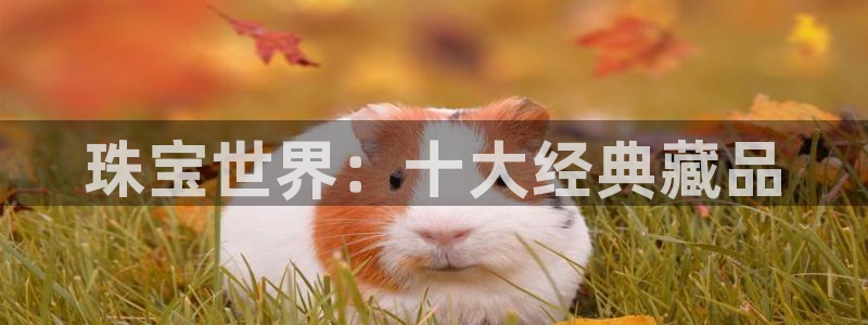 新宝5登录界面：珠宝世界：十大经典藏品