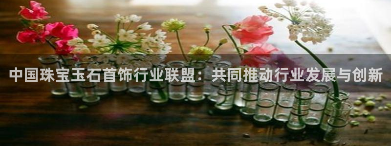 新宝5授权：中国珠宝玉石首饰行业联盟：共同推动行业发展与创新