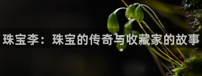 新宝5娱乐网址：珠宝李：珠宝的传奇与收藏家的故事