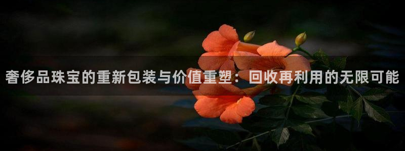 新宝5上来77542：奢侈品珠宝的重新包装与价值重塑：回收再利用的无限可能