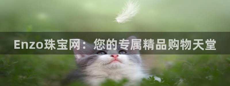 新宝5下载官方：Enzo珠宝网：您的专属精品购物天堂