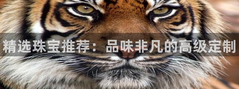 新宝5平台注册：精选珠宝推荐：品味非凡的高级定制