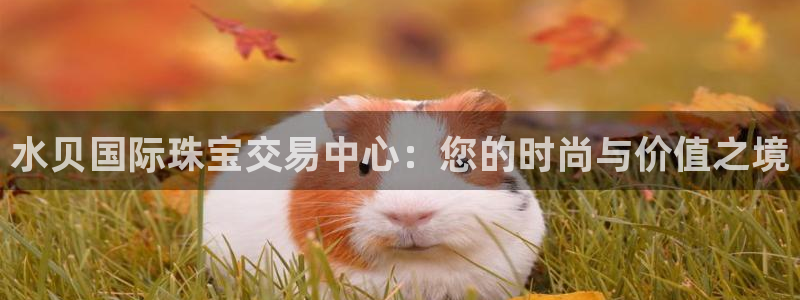 新宝5测速平台登录：水贝国际珠宝交易中心：您的时尚与价值之境