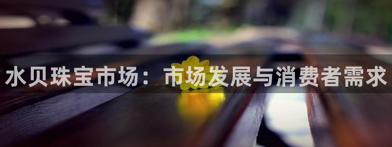 新宝5郑74OOO5：水贝珠宝市场：市场发展与消费者需求