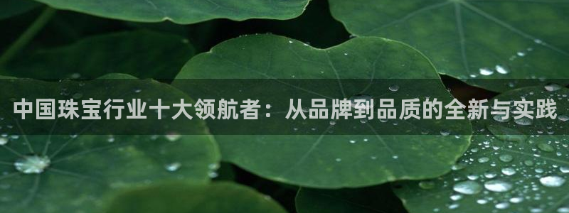 新宝5总代：中国珠宝行业十大领航者：从品牌到品质的全新与实践