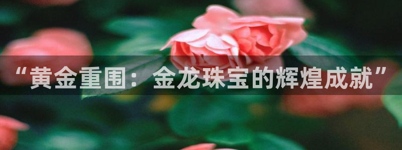 新宝cR一5：“黄金重围：金龙珠宝的辉煌成就”