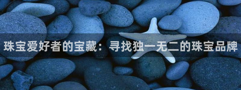 新宝5挂机软件：珠宝爱好者的宝藏：寻找独一无二的珠宝品牌