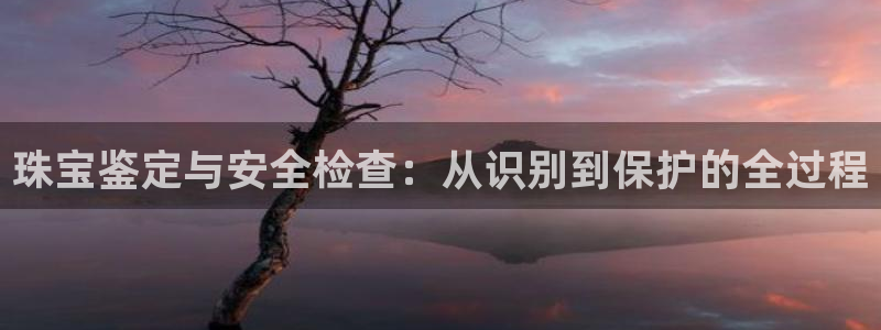 新宝股东瞧听2 5 5：珠宝鉴定与安全检查：从识别到保护的全过程