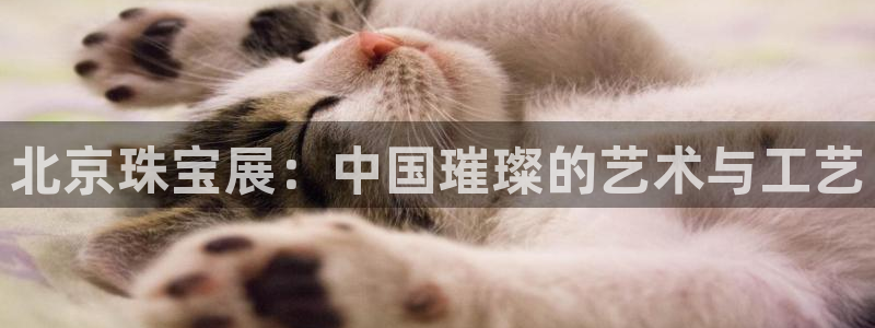 新宝5飞355051：北京珠宝展：中国璀璨的艺术与工艺