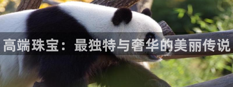新宝5_测：高端珠宝：最独特与奢华的美丽传说