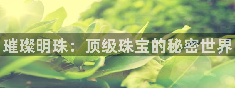 新宝5蒋7O667：璀璨明珠：顶级珠宝的秘密世界