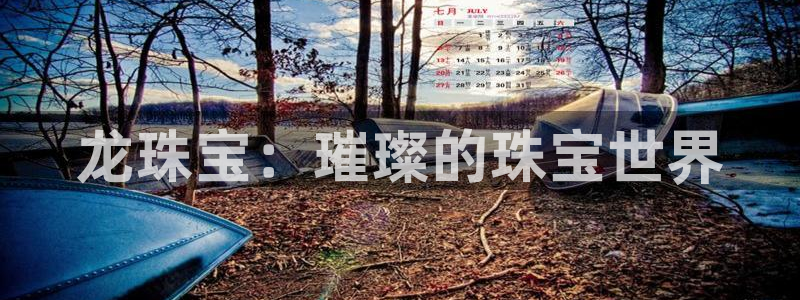 新宝5官方：龙珠宝：璀璨的珠宝世界