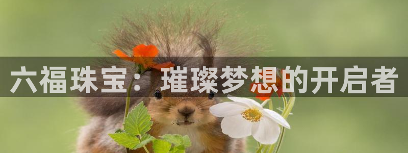 新宝5娱乐学：六福珠宝：璀璨梦想的开启者