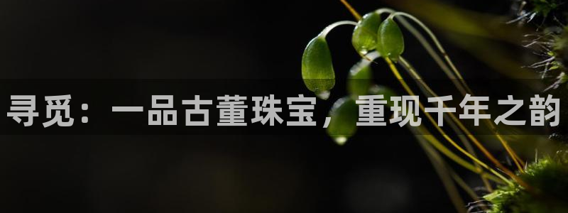 新宝5骗术：寻觅：一品古董珠宝，重现千年之韵